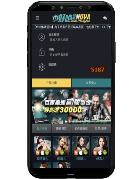 金禾娛樂城平台畫面